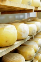 round cheeses maturing on wooden racks