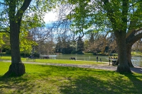 Pittville lake framed by two trees