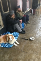 Two men and a dog sitting on the Promenade.
