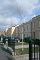 Houses with front gardens