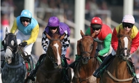 cheltenham festival, horse racing