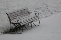 Bench in the snow