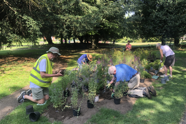 Sandford Park Collab Garden 600X400