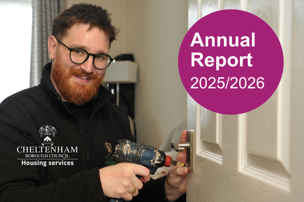 Annual Report Website Image