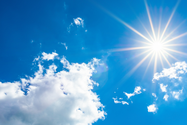 Hot weather bin collections in Cheltenham