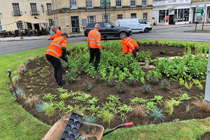 Ubico workers planting on Montpellier roundabout