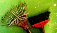 wooden rake and brush with red plastic handle leaning against a green painted wall
