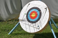 Archery target - arrows embedded in coloured rings on a white circular board