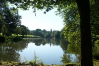 view between trees of Pittville lake