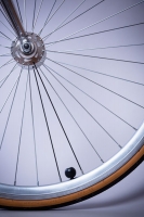Wheel from a bicycle