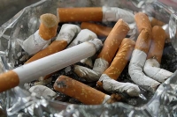 Used cigarettes in an ash tray