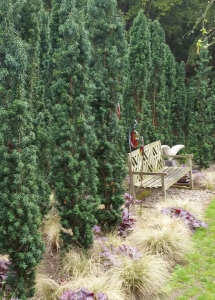 Minster gardens feature hedges example